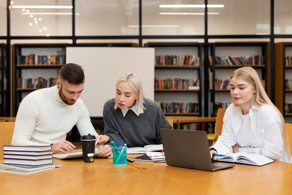 Bachelor of Business Innovation and Strategy